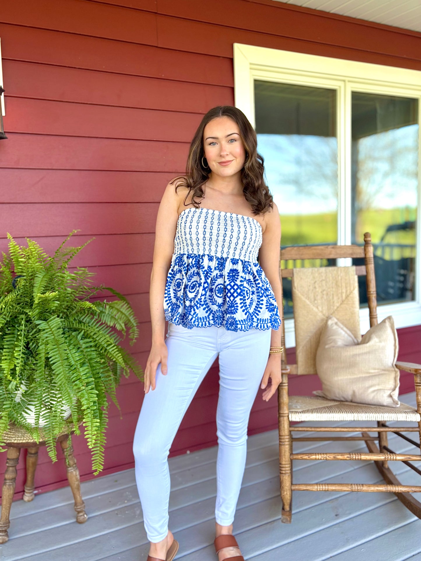 Toile Embroidered Top | Blue & White