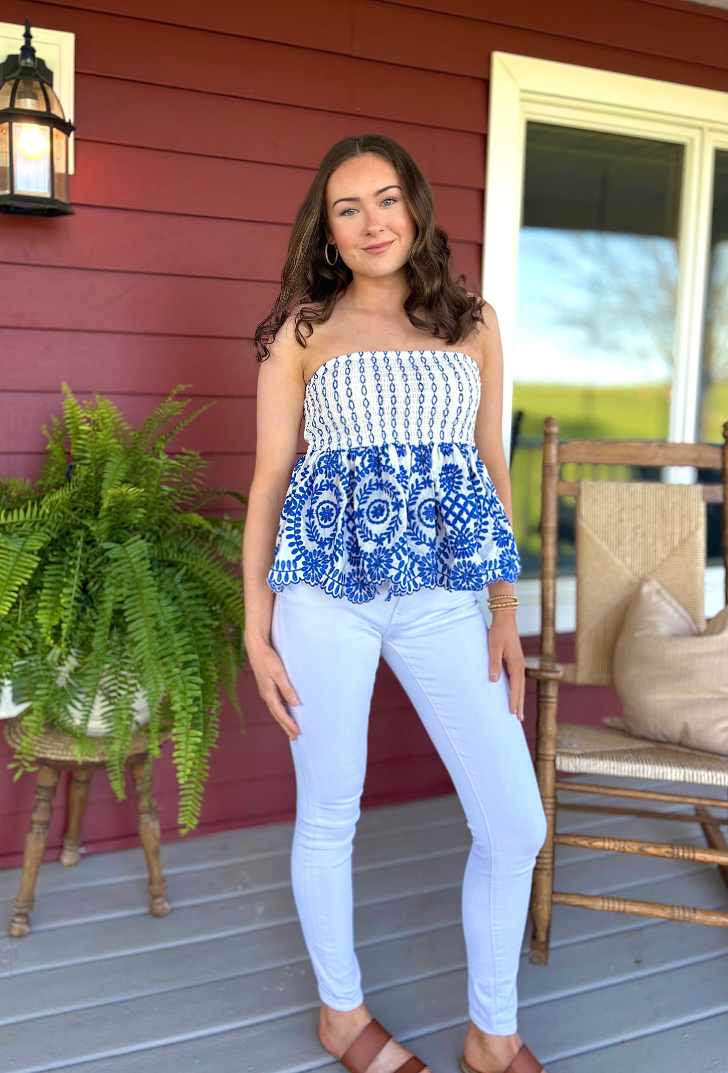 Toile Embroidered Top | Blue & White