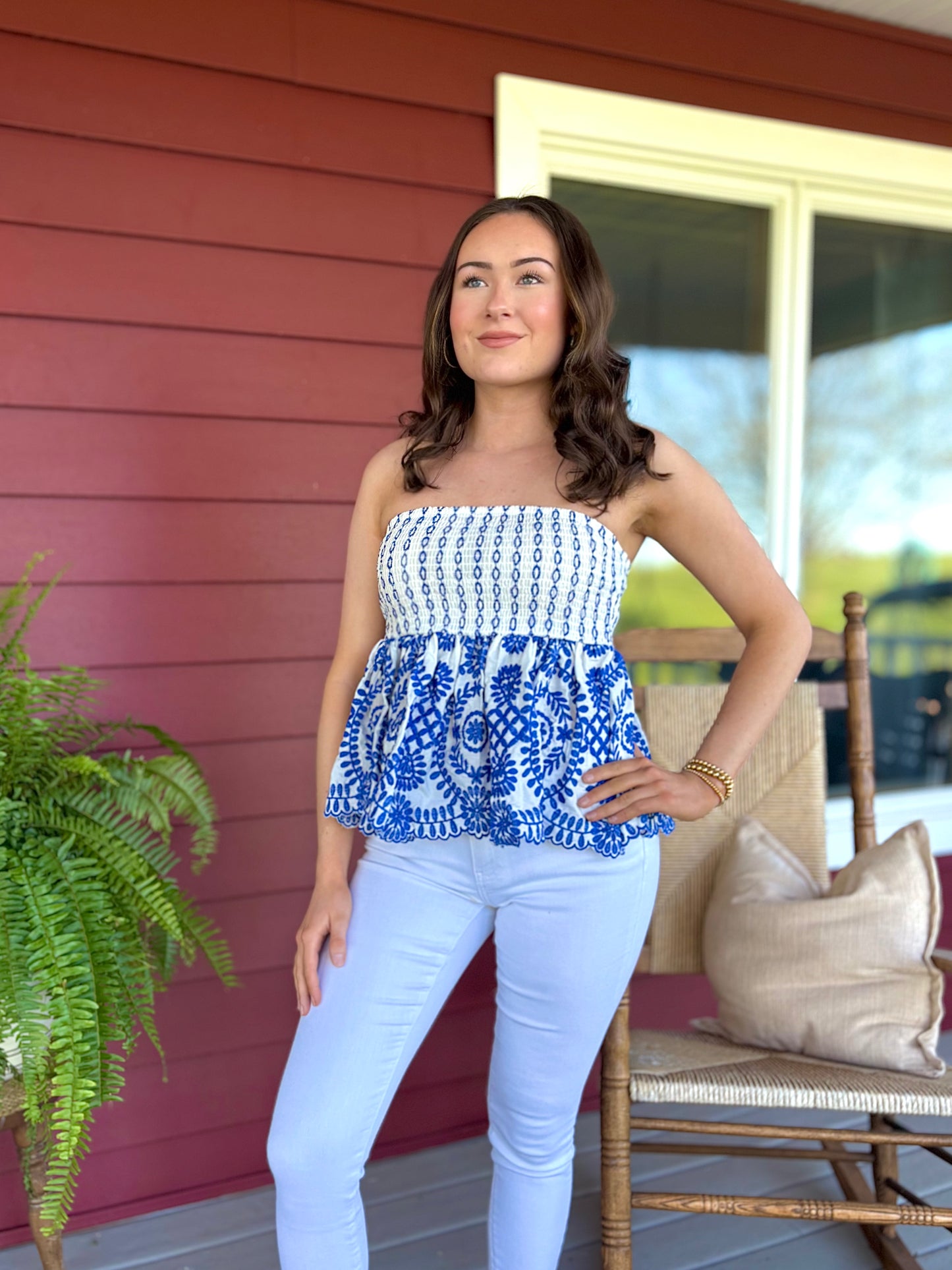 Toile Embroidered Top | Blue & White