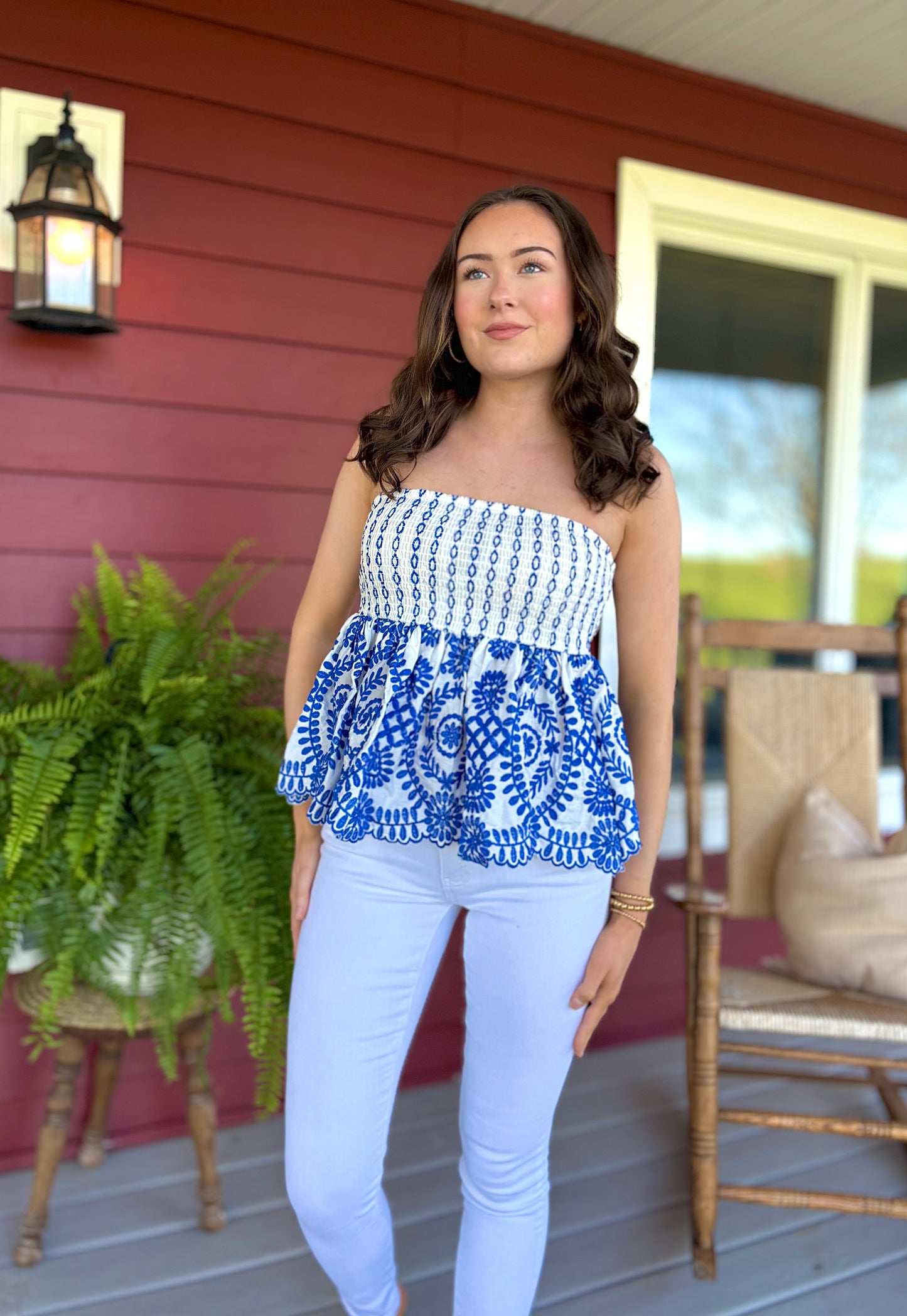 Toile Embroidered Top | Blue & White